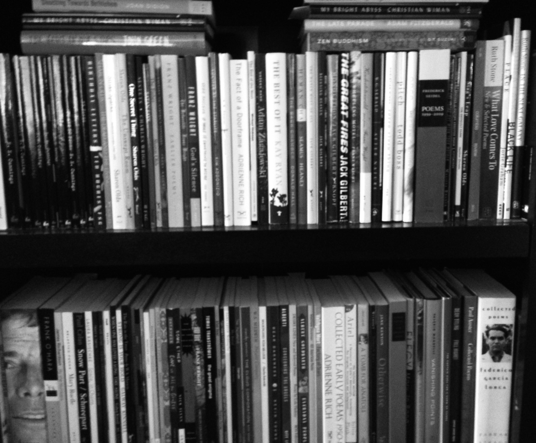 Poetry shelves November, 2013